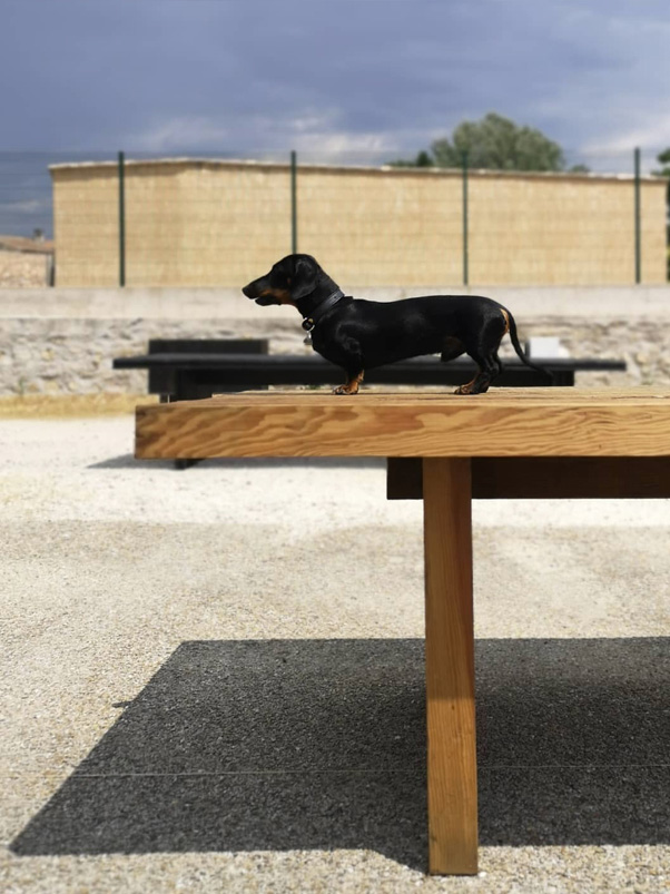 Table Laurent Passe en bois brut